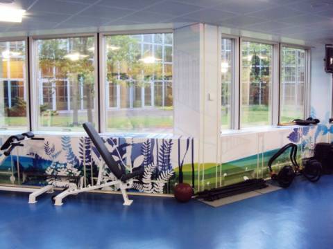 création ambiance salle de fitness